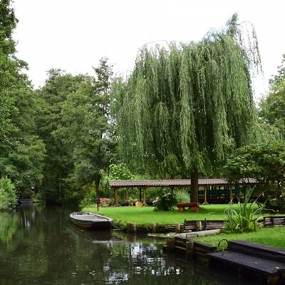 开元ky888vip下载手机版